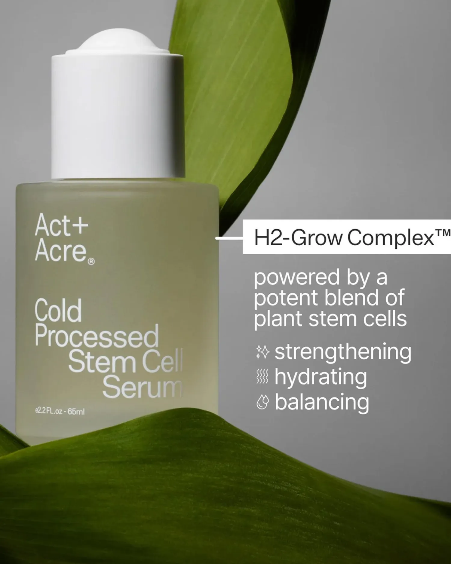 Clearance Act + Acre Scalp Serum Hair